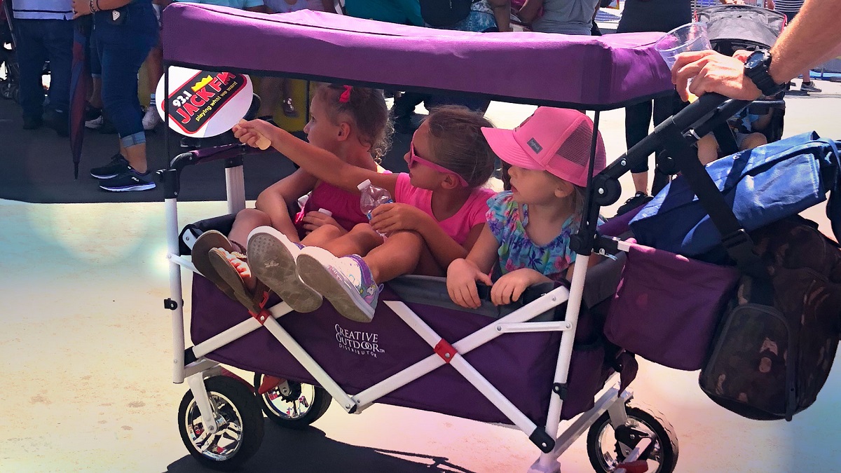 There-Are-Several-Reasons-To-Own-A-Kids-Wagon-With-Canopy