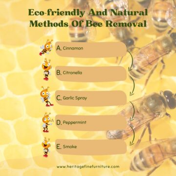 natural-and-eco-friendly-bee-removal-methods